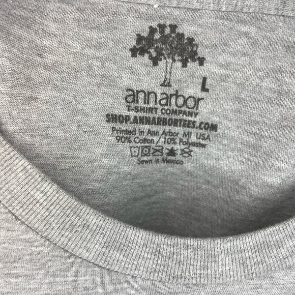 Mighty Mick’s Boxing Gym. Large. Ann Arbor T Shirt Co. Heather Gray. - Picture 4 of 6